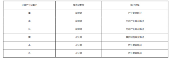 區(qū)域戰(zhàn)略性新興產業(yè)協同演化的要素與路徑探討