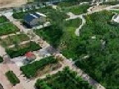 黃山：科技賦能茶產業發展 創新擦亮綠色品牌