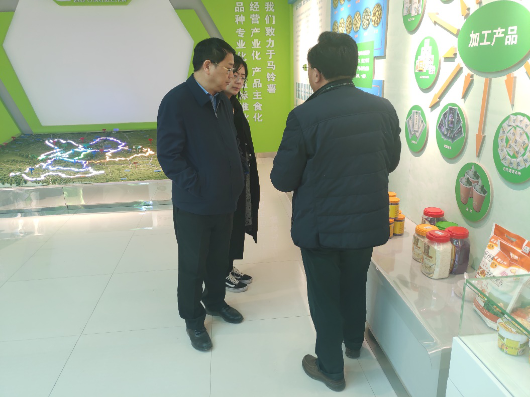 “中國(guó)薯都”再奏新旋律，定西市安定區(qū)開啟馬鈴薯產(chǎn)業(yè)發(fā)展新篇章