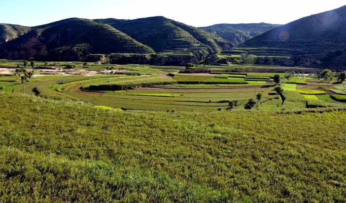 承載“千年藥鄉”之美譽,甘肅隴西搶抓國家火炬特色產業基地建設新機遇