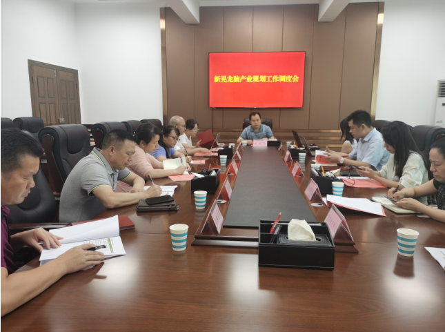 發力五型經濟,著力打造“中國龍腦之都”