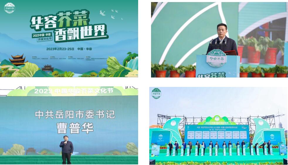 華容芥菜香飄四海,創建國家現代農業產業園恰逢其時