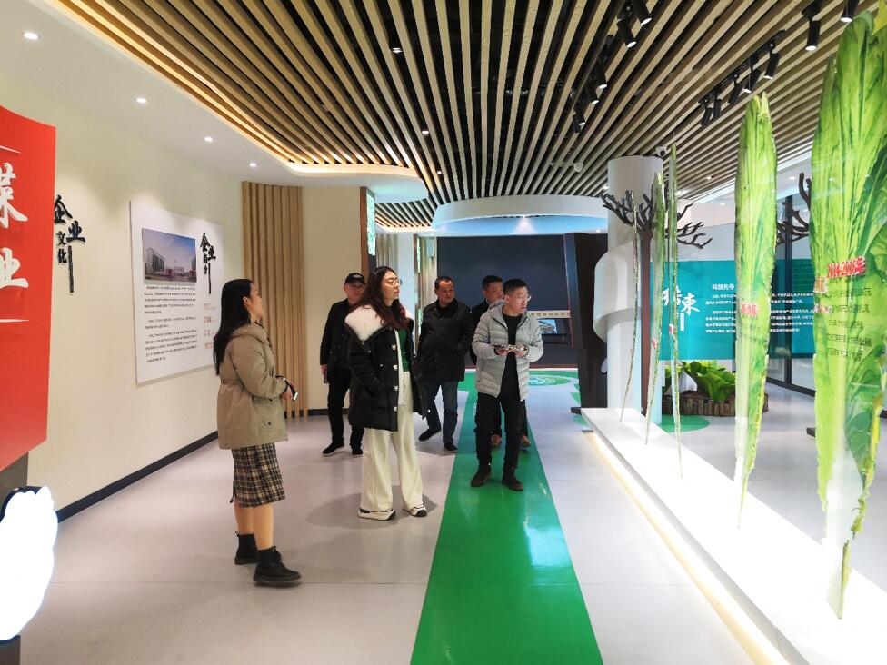 華容芥菜香飄四海,創建國家現代農業產業園恰逢其時