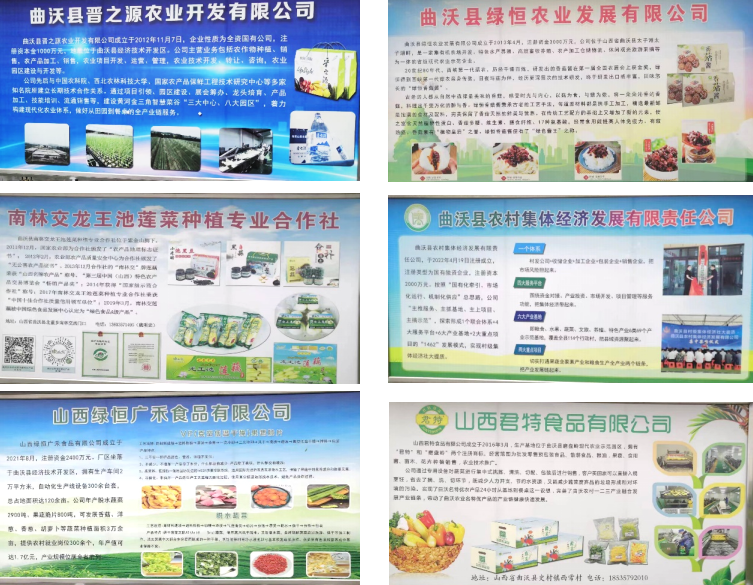 晉之源果蔬再啟航,曲沃開啟國家農業現代化示范區新征程